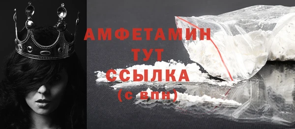 хмурый Арсеньев