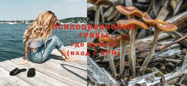 спиды Алзамай