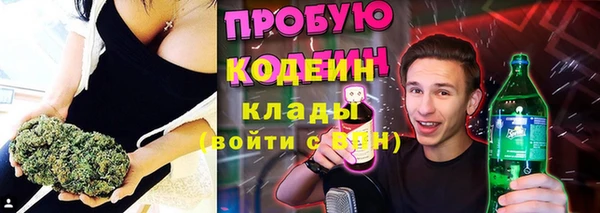 хмурый Арсеньев